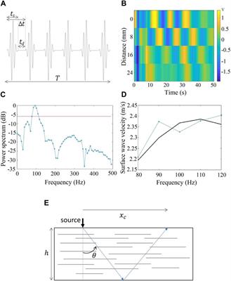 Widening the frontiers of elastography in biomechanics: simultaneous muscle elasticity measurements at high-sample rate with surface wave elastography